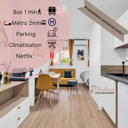 La Lumiere Du Midi-oncopole A 5 Minutes-clim Apartment *