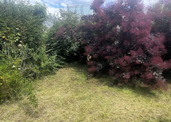 La Lumiere Du Midi-oncopole A 5 Minutes-clim דירה טולוז