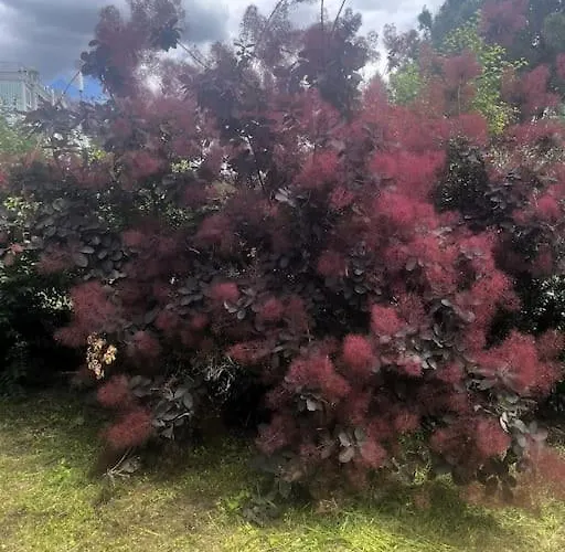 דירה La Lumiere Du Midi-oncopole A 5 Minutes-clim