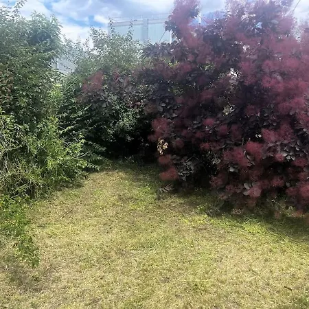 La Lumiere Du Midi-oncopole A 5 Minutes-clim アパート トゥールーズ