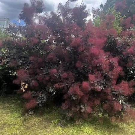 Apartamento La Lumière Du Midi-oncopole à 5 Minutes-clim